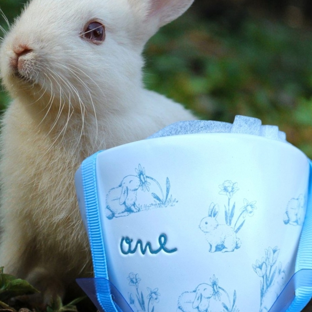 Rae Dunn Bunny Blue and White Ceramic Measuring Cups Set NWT